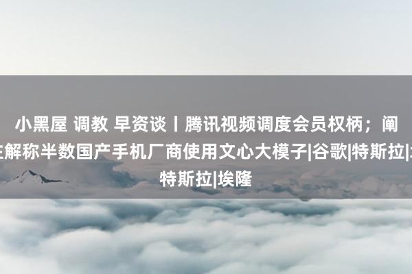 小黑屋 调教 早资谈丨腾讯视频调度会员权柄；阐发注解称半数国产手机厂商使用文心大模子|谷歌|特斯拉|埃隆