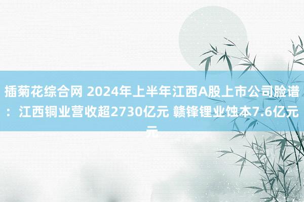 插菊花综合网 2024年上半年江西A股上市公司脸谱：江西铜业营收超2730亿元 赣锋锂业蚀本7.6亿元