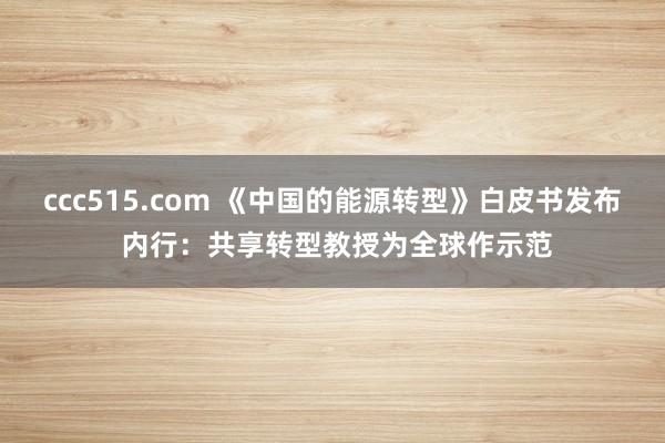 ccc515.com 《中国的能源转型》白皮书发布 内行：共享转型教授为全球作示范