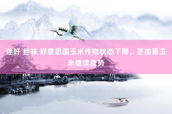 迷奸 丝袜 好意思国玉米作物状态下降，芝加哥玉米继续涨势